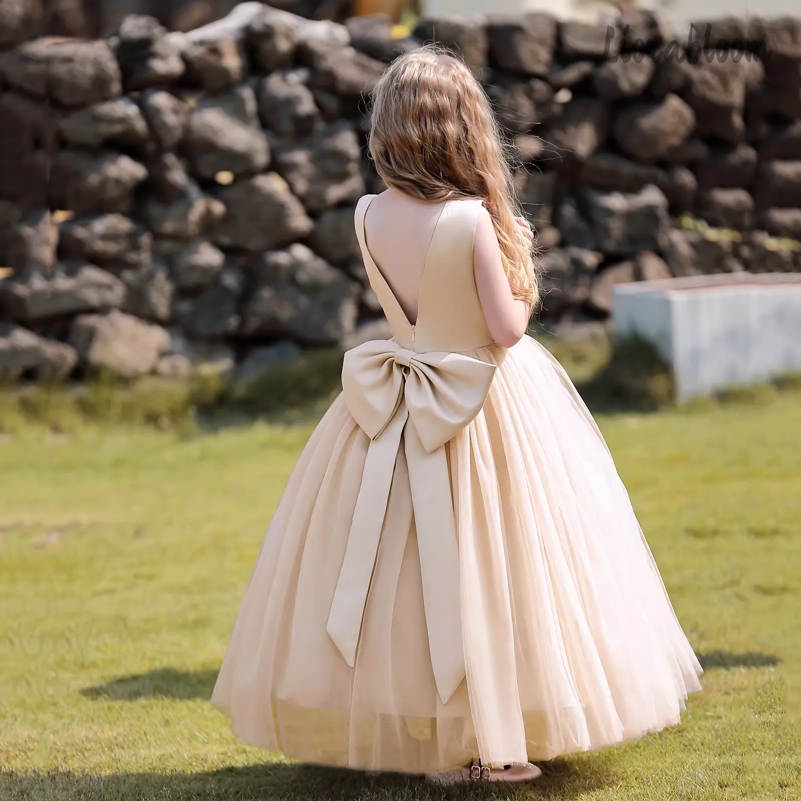 Multicolor Backless Princess D - Women Formal Wear Dress avis et prix